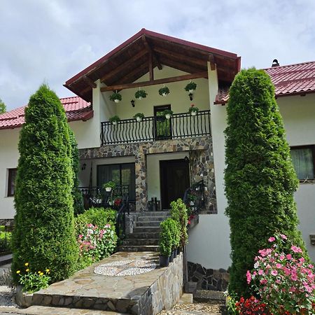 Casa Alba Vila Borşa Exterior foto