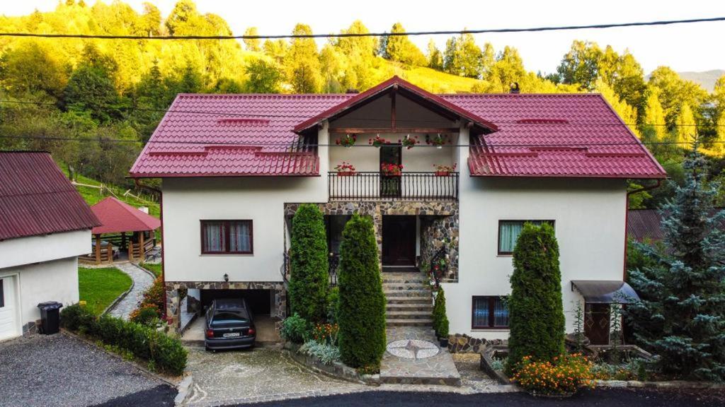 Casa Alba Vila Borşa Exterior foto