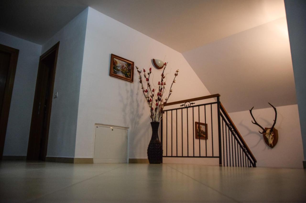 Casa Alba Vila Borşa Exterior foto