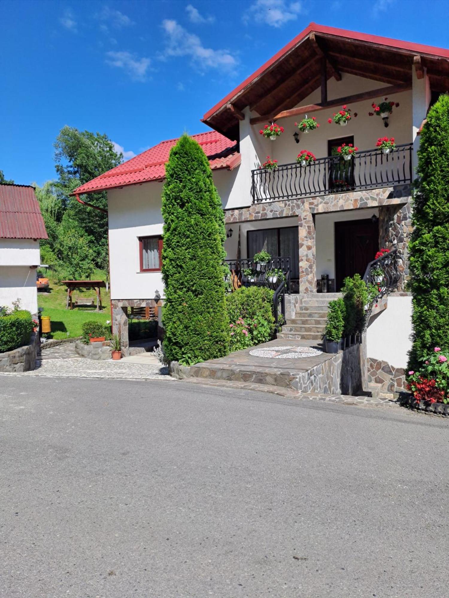 Casa Alba Vila Borşa Exterior foto