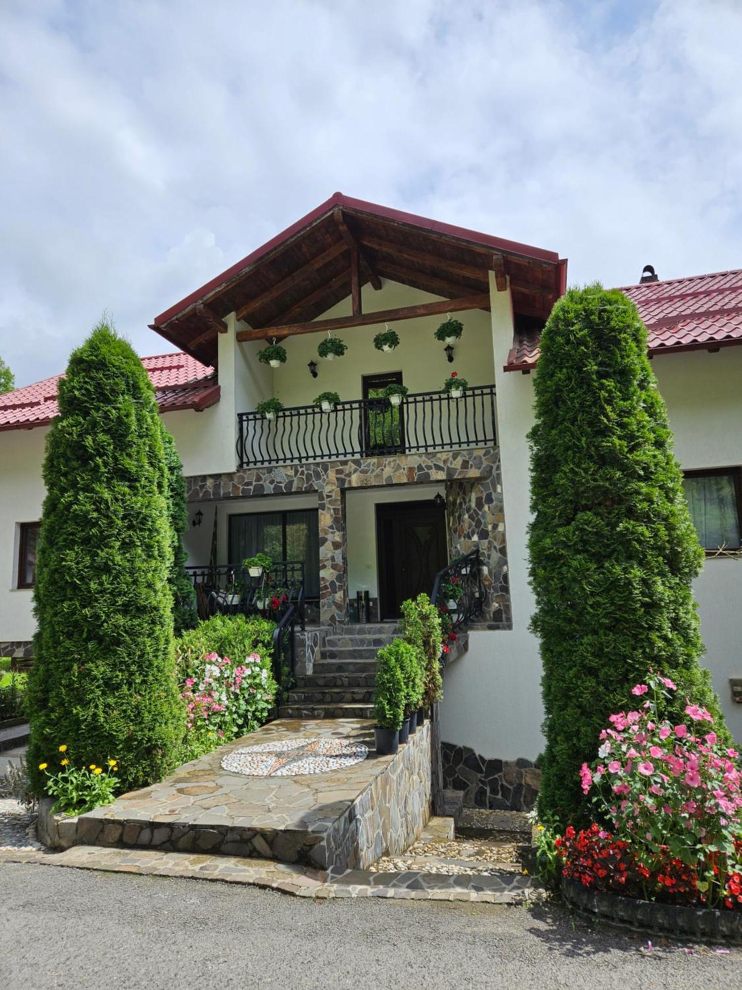 Casa Alba Vila Borşa Exterior foto